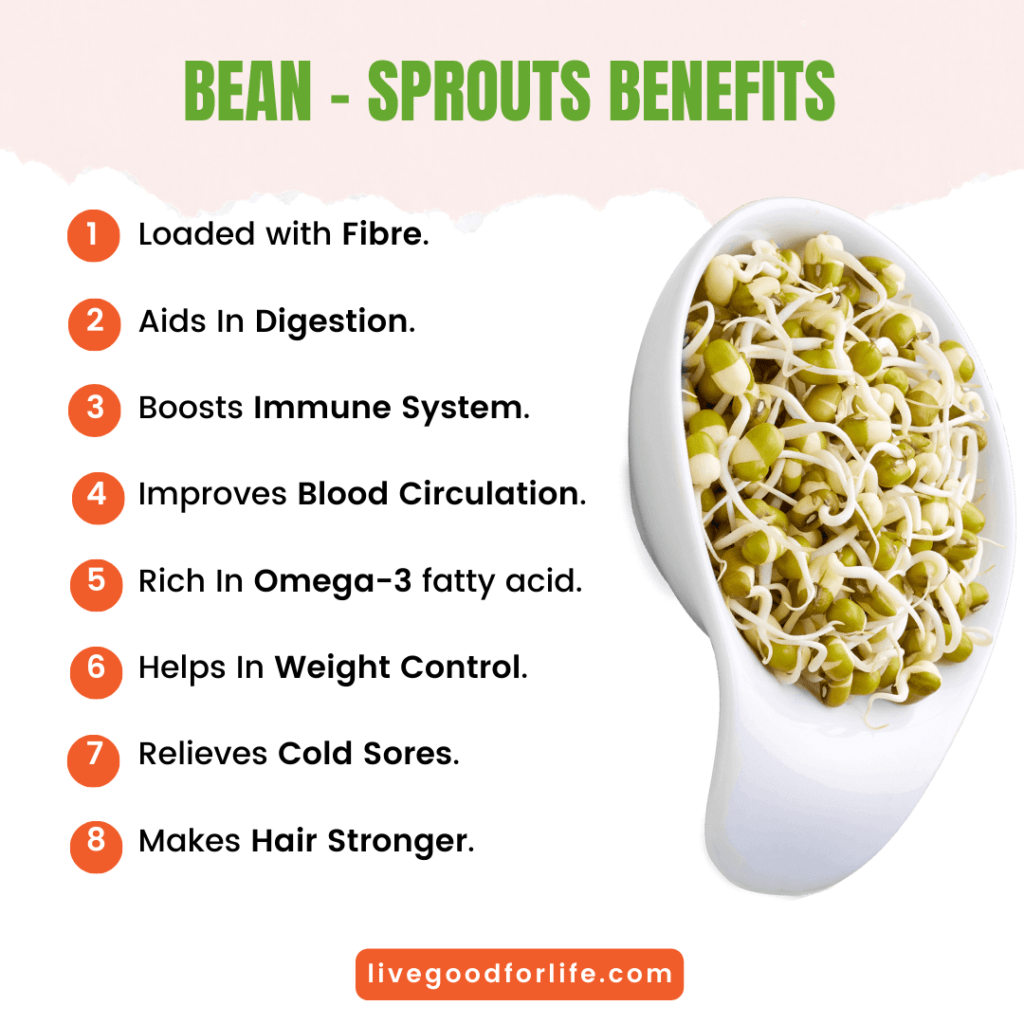 Bean Sprouts Benefits - A Pocket Guide to Optimal Health