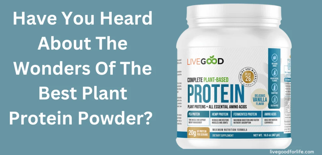 Have You Heard About The Wonders Of The Best Vegan Protein Powder?