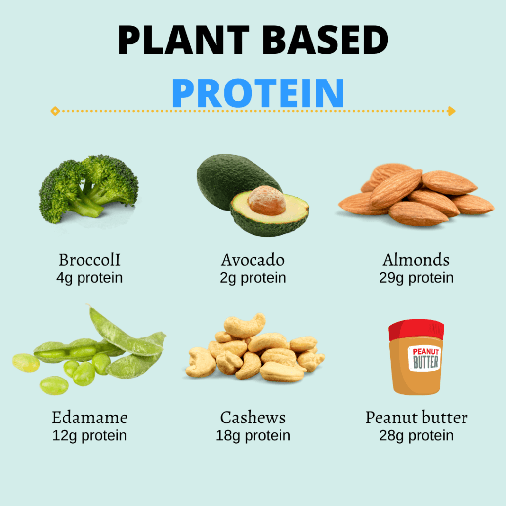 Plant-Based Protein Food