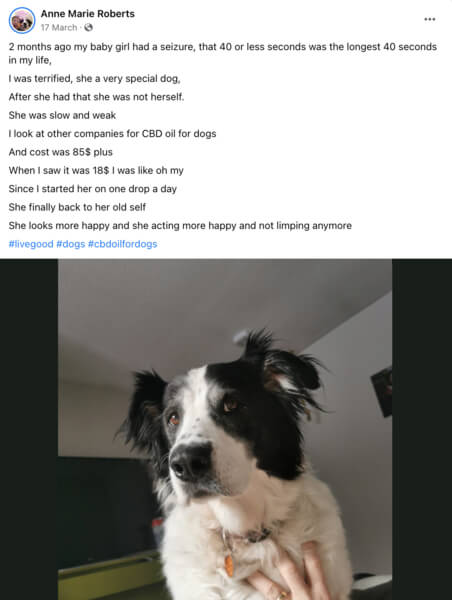 LiveGood CBD Oil for Pets-testimonials