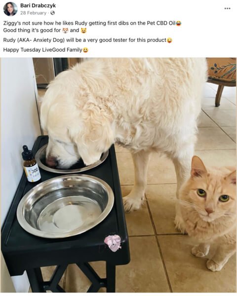 LiveGood CBD Oil for Pets-testimonials