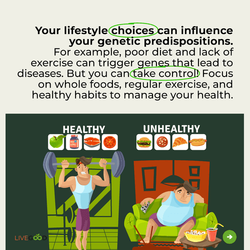The 6 Pillars of Health: Your Guide to Optimal Well-Being