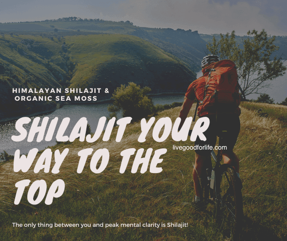 Himalayan Shilajit and Organic Sea Moss