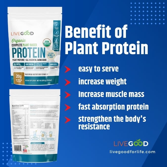 Vegan Plant Protein Powder