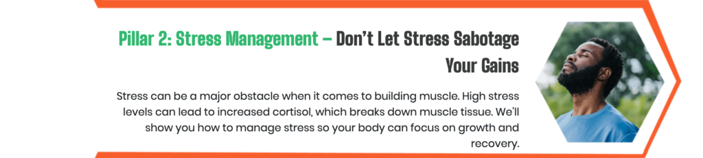 7 Muscle-Building Secrets You Can't Afford to Miss