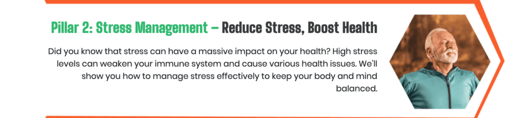 Curious About the 7 Pillars of Health That Could Change Your Life?