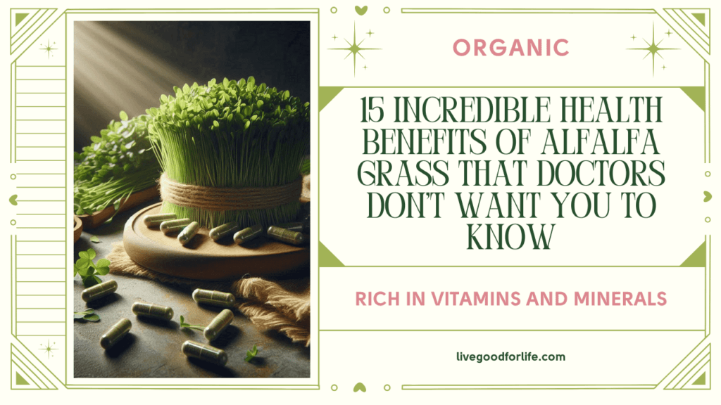 15 Incredible Health Benefits of Alfalfa Grass That Doctors Don't Want You to Know