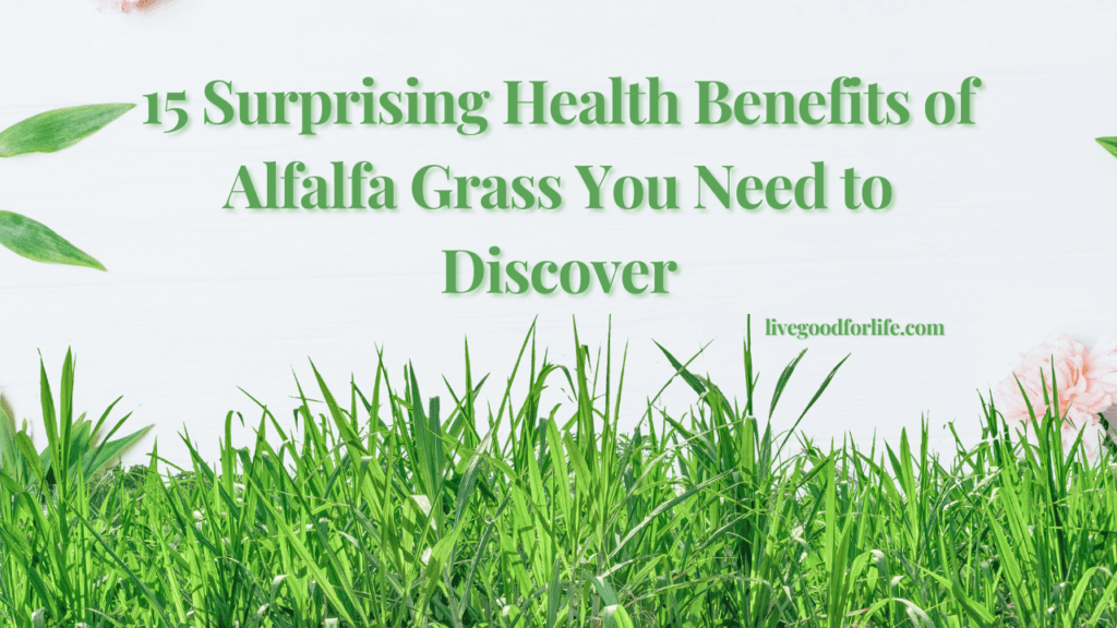 15 Surprising Health Benefits of Alfalfa Grass You Need to Discover