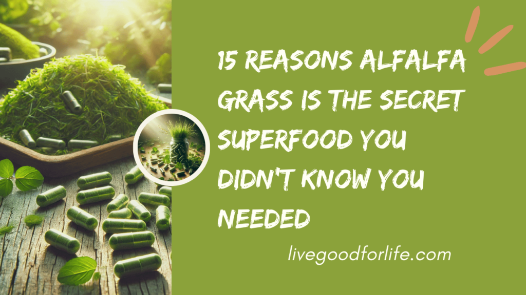 15 Little-Known Benefits of Alfalfa Grass That Can Transform Your Health