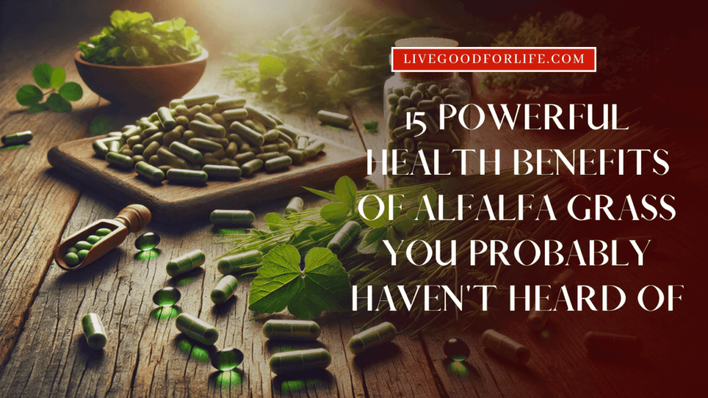 15 Powerful Health Benefits of Alfalfa Grass You Probably Haven't Heard Of