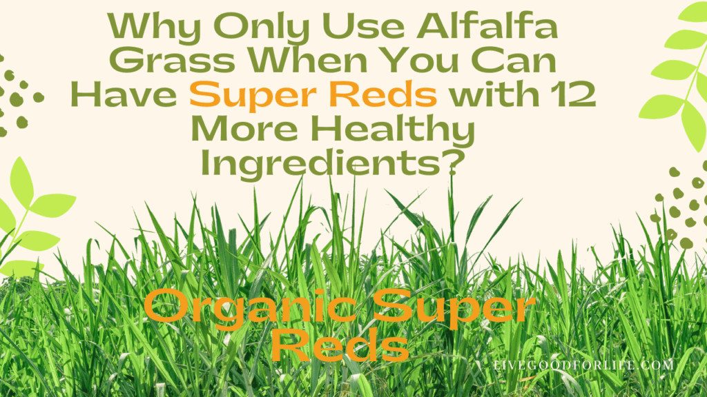 15 Hidden Health Advantages of Alfalfa Grass for a Better You