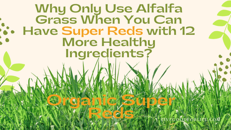 15 Hidden Health Advantages of Alfalfa Grass for a Better You
