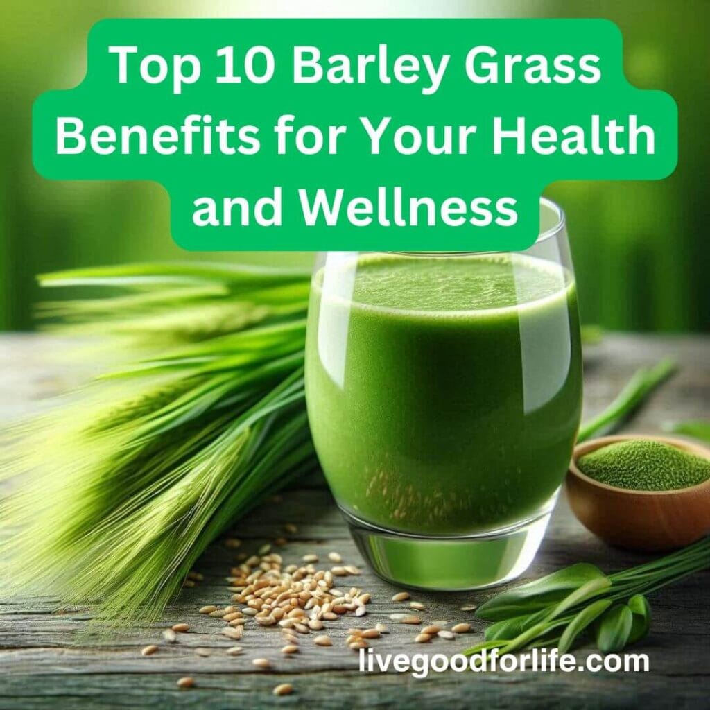 barley grass benefits