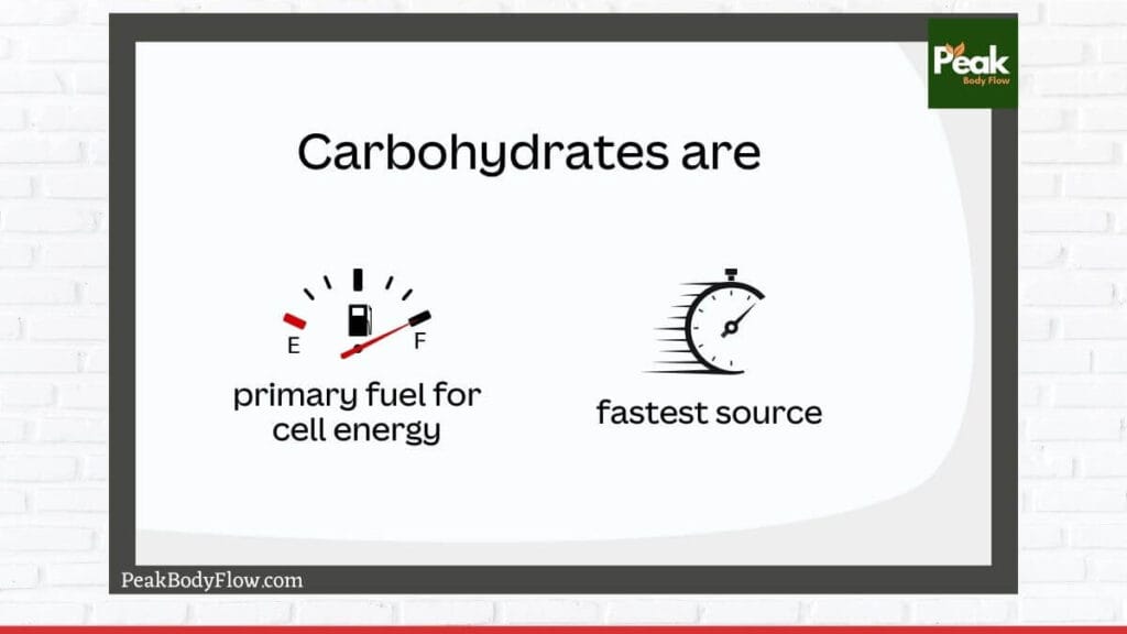 Carbohydrates: Types, Functions, and Health Benefits