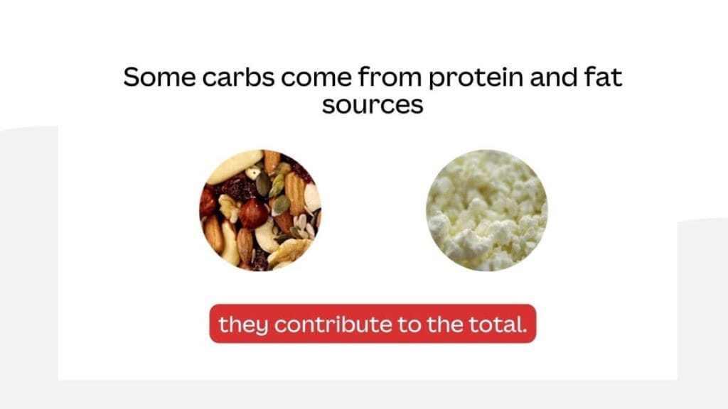 Carbohydrates: Types, Functions, and Health Benefits