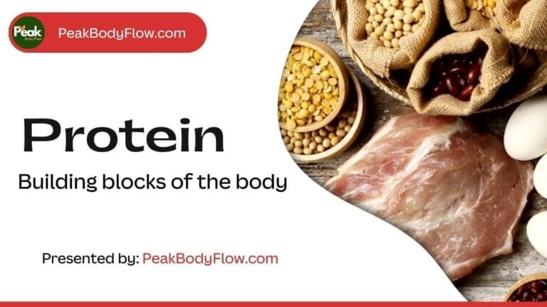 Protein: Essential Nutrient for Better Health