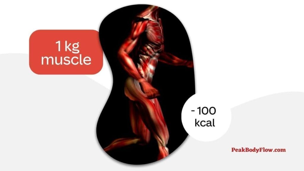 Protein: Essential Nutrient for Better Health