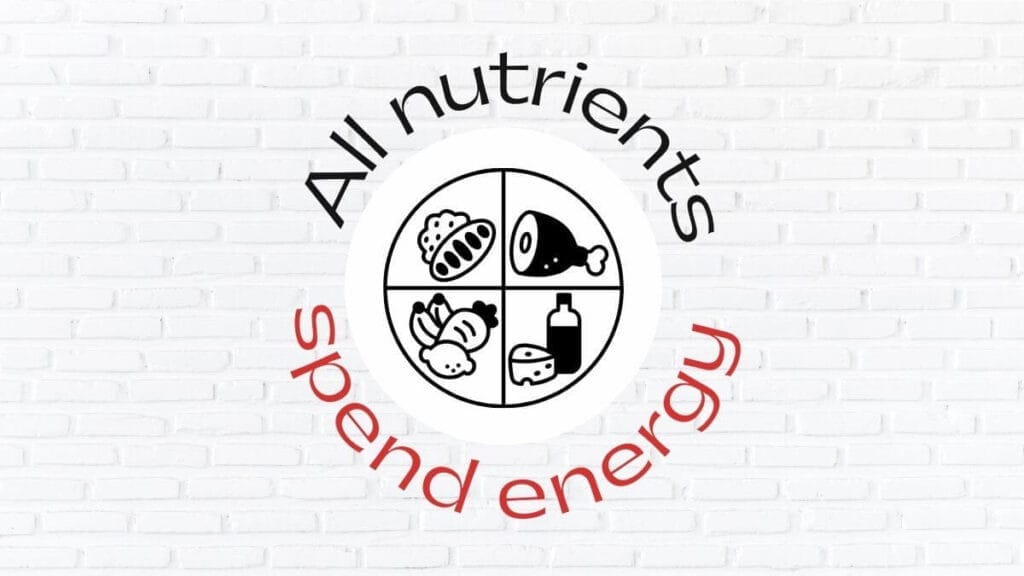 Protein: Essential Nutrient for Better Health