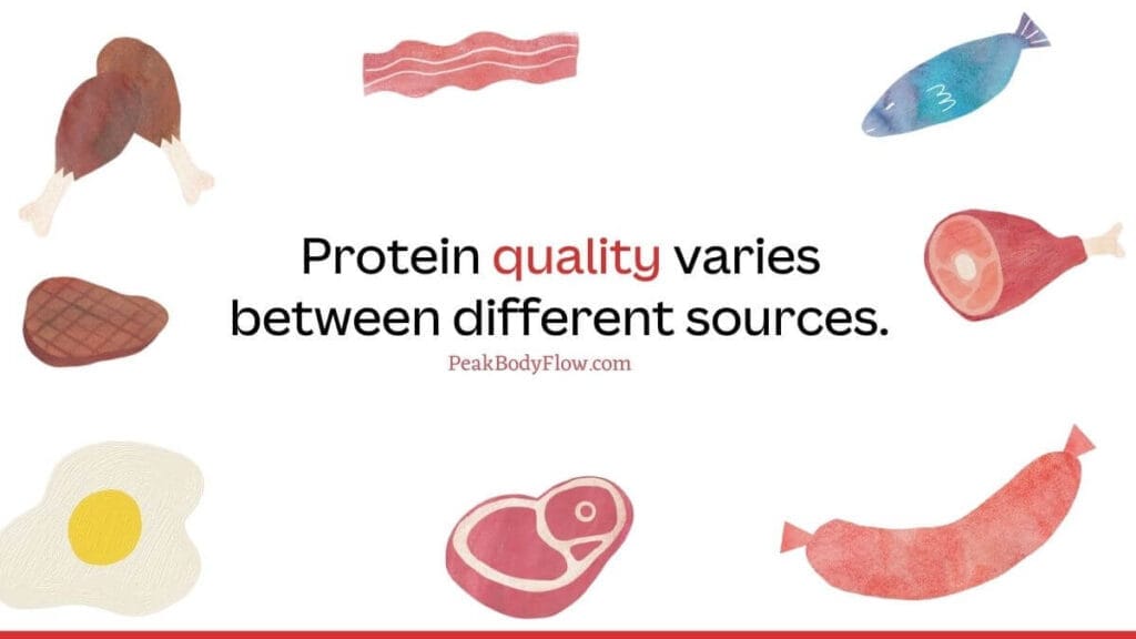Essential Protein Sources for Your Diet