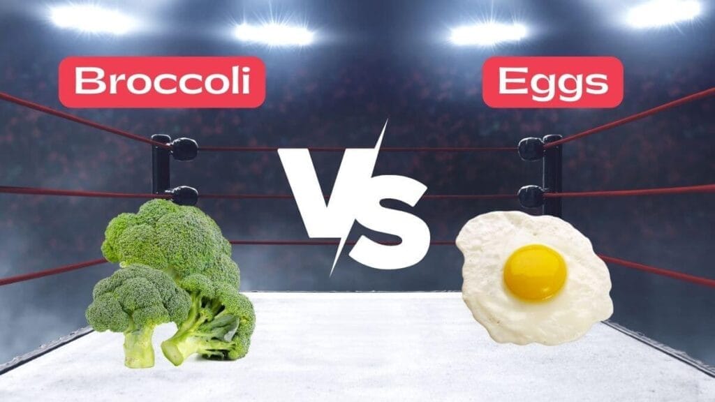 Essential Protein Sources for Your Diet