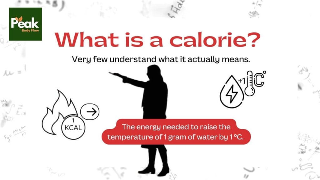 Understanding Calories Tips - Guide