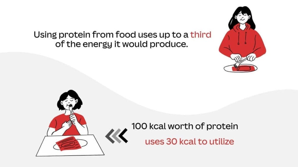 Understanding Calories Tips - Guide
