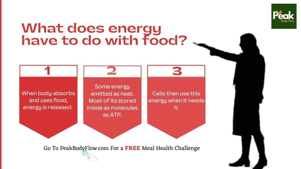 Understanding Calories Tips - Guide