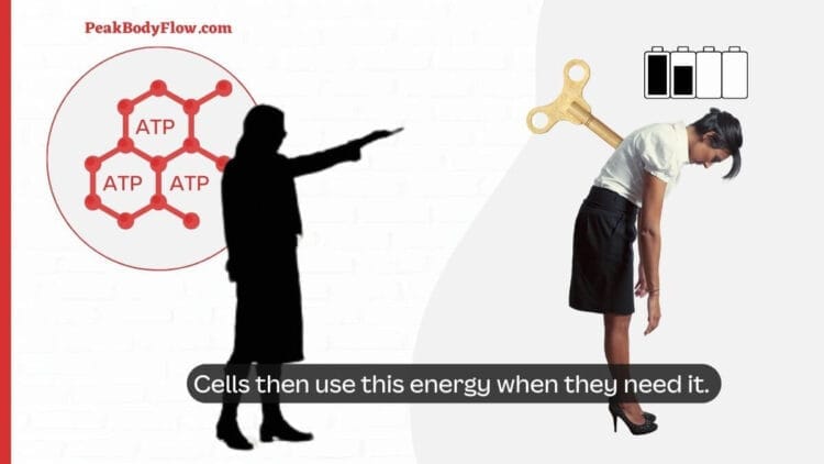 WHAT ARE CALORIES visual data 6