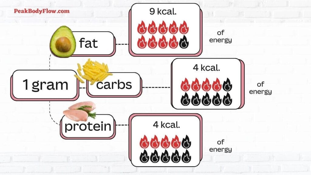 Understanding Calories Tips - Guide