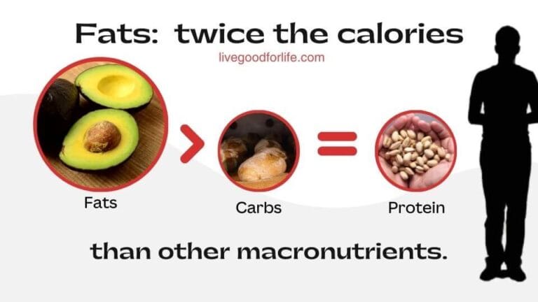 Understanding Good vs. Bad Fats for Optimal Health