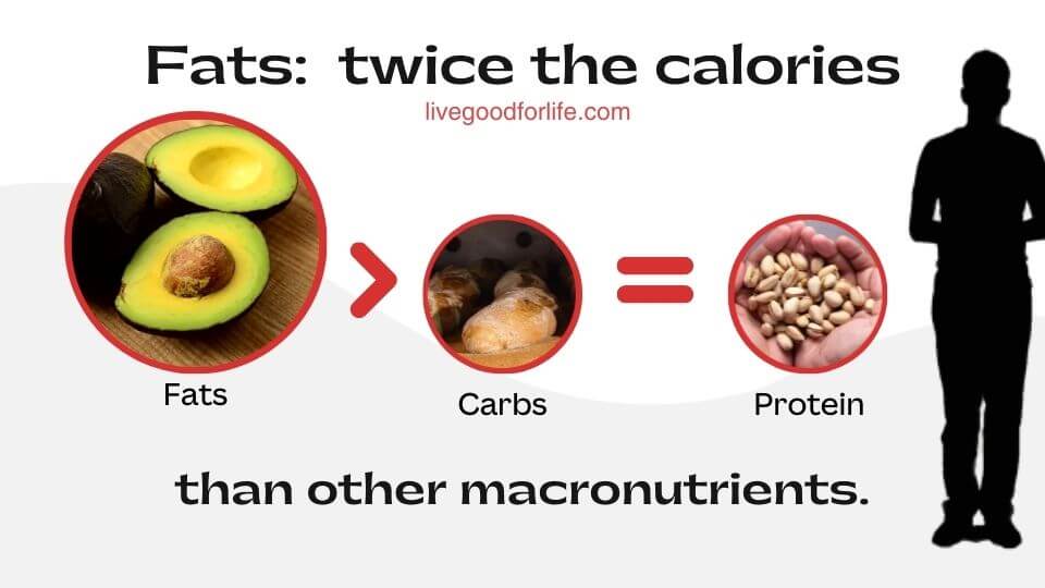 Understanding Good vs. Bad Fats for Optimal Health