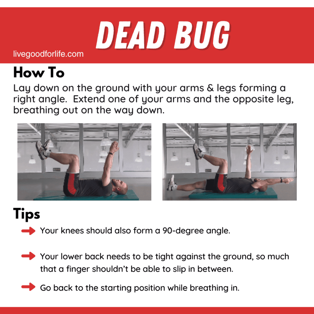 Lower Back Pain Exercises Explained