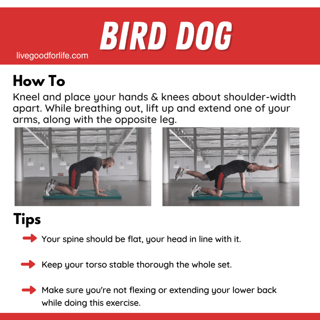 Lower Back Pain Exercises Explained