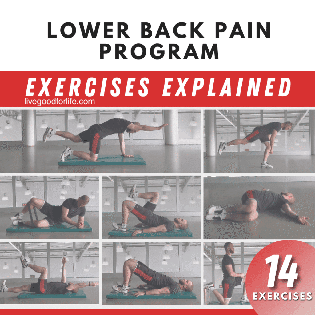 Lower Back Pain Exercises Explained