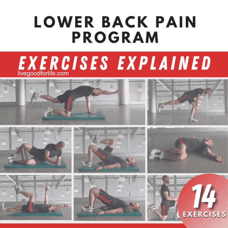 Lower Back Pain Exercises Explained