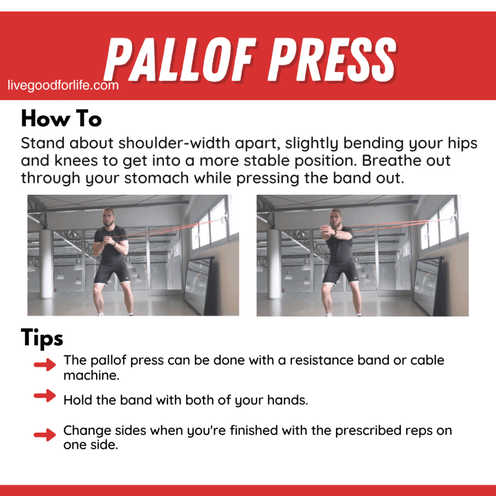 Lower Back Pain Exercises Explained