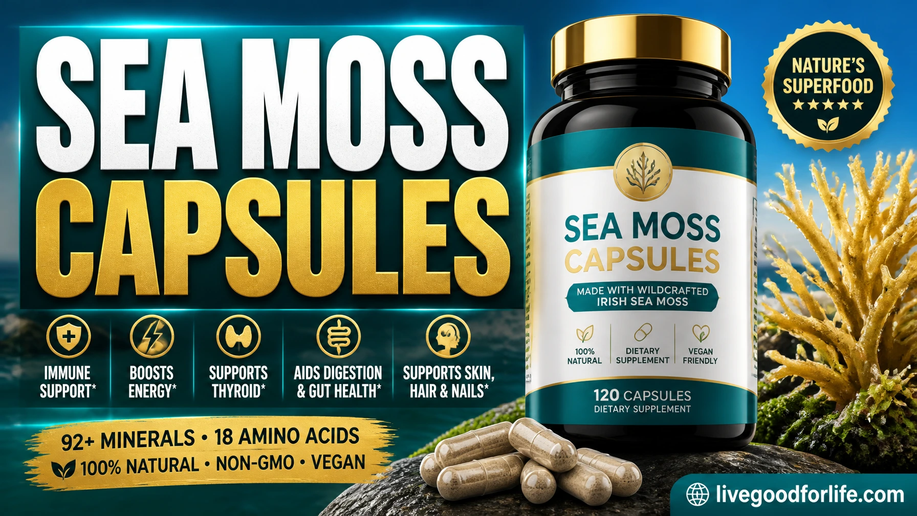 Sea moss capsules benefits and safe use